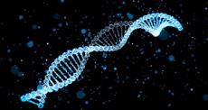 پاورپوینت استخراج و تقویت DNA