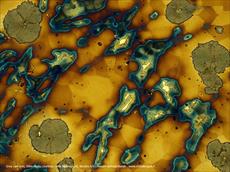 پاورپوینت تصاویر میکروسکوپی از ریز ساختار فلزات