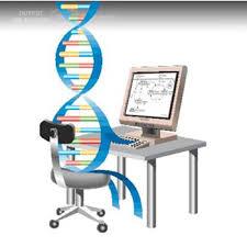 تحقیق کاربردهای الگوریتم ژنتیک