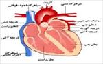 پاورپوینت-مروری-برآناتومی-و-فیزیولوژی-قلب